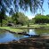 A lush park with ponds and a wooden bridge that goes over the water